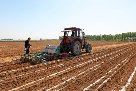 Téléchargez les photos : COMTÉ DE LUANNAN, province du Hebei, Chine - 5 mai 2019 : Les agriculteurs poussent les semoirs à cultiver des arachides paillées à la ferme. - en image libre de droit