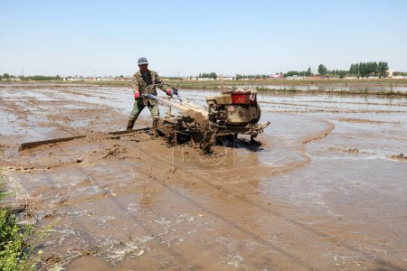 Téléchargez les photos : COMTÉ DE LUANNAN, province du Hebei, Chine - 6 mai 2019 : Les agriculteurs poussent les machines agricoles à niveler les rizières pour planter du riz. - en image libre de droit