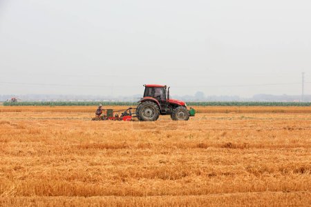 Téléchargez les photos : Comté de Luannan, Chine - 20 juin 2019 : Des tracteurs cultivent du maïs dans des exploitations sans labour, comté de Luannan, province du Hebei, Chine - en image libre de droit