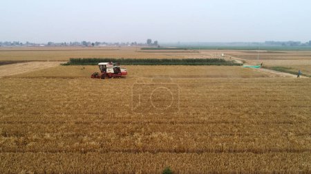 Téléchargez les photos : La moissonneuse a récolté du blé dans le champ, comté de Luannan, province du Hebei, Chine - en image libre de droit