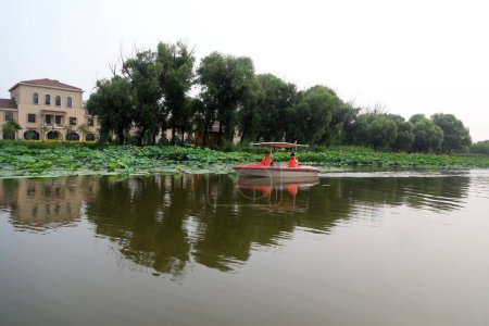 Téléchargez les photos : Comté de Luannan, Chine - 15 juillet 2019 : Les visiteurs apprécient les fleurs de lotus en bateau, comté de Luannan, province du Hebei, Chine - en image libre de droit