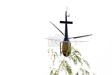 Photo for Agricultural helicopters fly in the sky - Royalty Free Image