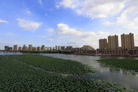 Téléchargez les photos : Paysage urbain en bord de mer, Chine - en image libre de droit