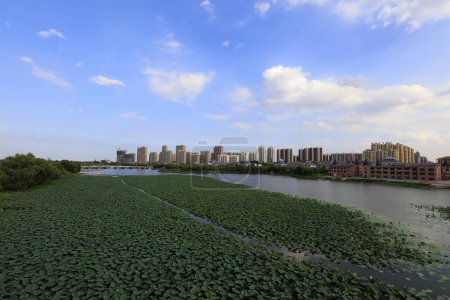 Téléchargez les photos : Paysage urbain en bord de mer, Chine - en image libre de droit