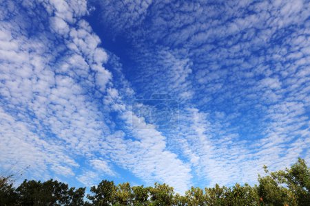 Téléchargez les photos : Ciel bleu et nuage blanc - en image libre de droit