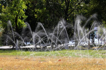 Photo for Micro sprinkler irrigation in the lawn - Royalty Free Image
