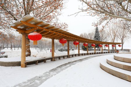 Téléchargez les photos : Lanternes rouges dans la neige dans le parc - en image libre de droit