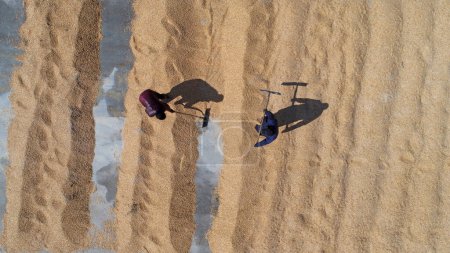 Foto de Agricultores secando semillas de maíz para la siembra de primavera, China - Imagen libre de derechos