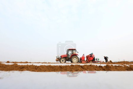 Téléchargez les photos : Les agriculteurs utilisent du film plastique pour couvrir les pommes de terre dans la ferme, COMTÉ DE LUANNAN, province du Hebei, Chin - en image libre de droit