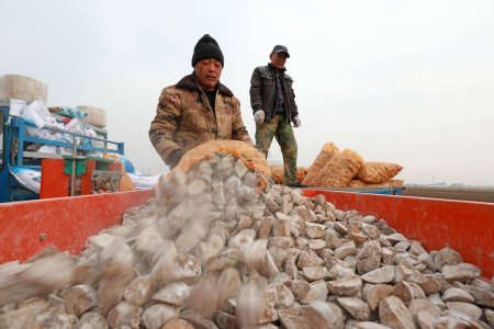 Téléchargez les photos : COMTÉ DE LUANNAN, province du Hebei, Chine - 12 mars 2020 : Les agriculteurs ajoutent des graines de pomme de terre au planteur de la ferme. - en image libre de droit