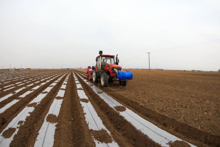 Foto de Agricultores impulsan plantadores para cultivar papas en la granja. - Imagen libre de derechos