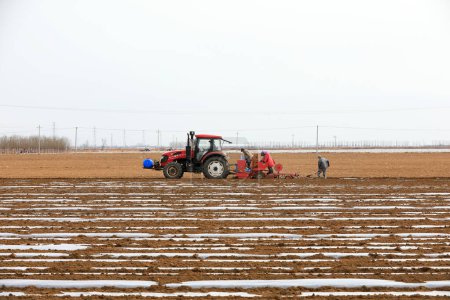 Téléchargez les photos : COMTÉ DE LUANNAN, province du Hebei, Chine - 12 mars 2020 : Les agriculteurs poussent les planteurs à cultiver des pommes de terre à la ferme. - en image libre de droit