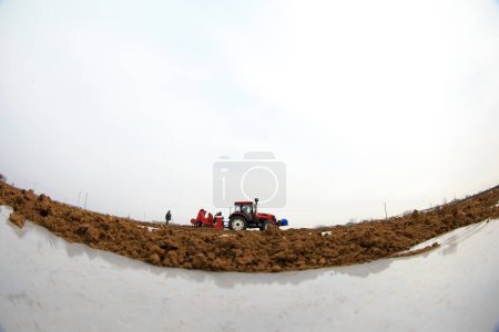 Foto de Agricultores impulsan plantadores para cultivar papas en la granja. - Imagen libre de derechos