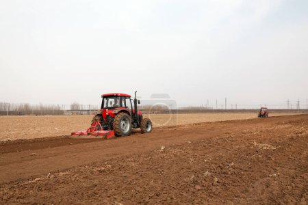 Téléchargez les photos : Les agriculteurs poussent les planteurs à cultiver des pommes de terre à la ferme. - en image libre de droit