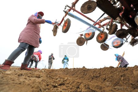 Foto de LUANNAN COUNTY, provincia de Hebei, China - 12 de marzo de 2020: Los agricultores ajustan la posición de película plástica de la sembradora de patatas. - Imagen libre de derechos