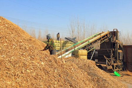 Téléchargez les photos : COMTÉ DE LUANNAN, province du Hebei, Chine - 20 mars 2020 : Les agriculteurs utilisent des machines pour écraser la paille de maïs afin de fabriquer des aliments pour animaux. - en image libre de droit