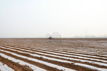 Photo for LUANNAN COUNTY, Hebei Province, China - March 31, 2020: Farmers use planters to plant peanuts in the fields. - Royalty Free Image