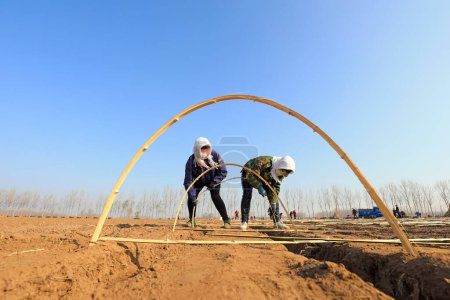 Foto de LUANNAN COUNTY, provincia de Hebei, China - 2 de abril de 2020: Los agricultores están instalando arcos de bambú y plantando jengibre en los campos. - Imagen libre de derechos