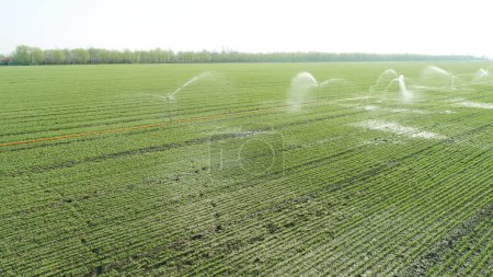 Photo for Sprinkler irrigation equipment running in wheat field, North China Plain - Royalty Free Image