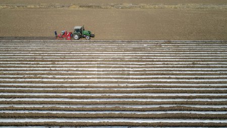 Foto de Agricultores impulsan plantadores para plantar taros en los campos, norte de China - Imagen libre de derechos