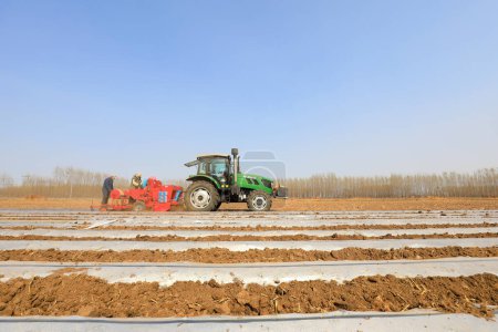 Téléchargez les photos : COMTÉ DE LUANNAN, Province du Hebei, Chine - 7 avril 2020 : Les agriculteurs poussent les planteurs à planter du taros dans les champs - en image libre de droit