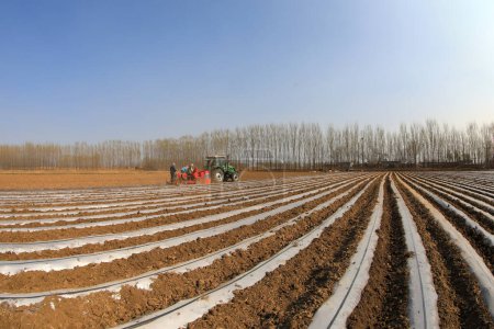 Téléchargez les photos : COMTÉ DE LUANNAN, Province du Hebei, Chine - 7 avril 2020 : Les agriculteurs poussent les planteurs à planter du taros dans les champs - en image libre de droit