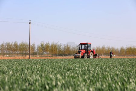 Foto de LUANNAN COUNTY, provincia de Hebei, China - 22 de abril de 2020: Los agricultores impulsan a las sembradoras a cultivar cacahuetes molidos de plástico en la granja. - Imagen libre de derechos