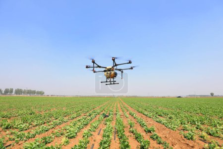 Téléchargez les photos : Un drone agricole pulvérise des médicaments sur des terres agricoles, Chine du Nord - en image libre de droit