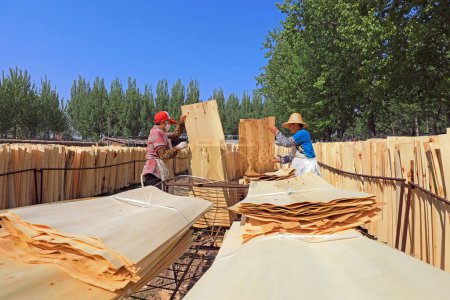 Foto de LUANNAN COUNTY, Provincia de Hebei, China - 27 de abril de 2020: Los trabajadores trabajan en una planta de procesamiento de madera. - Imagen libre de derechos