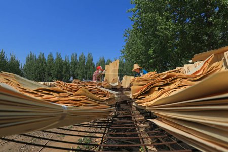 Photo for LUANNAN COUNTY, Hebei Province, China - April 27, 2020: Workers work in a wood processing plant. - Royalty Free Image
