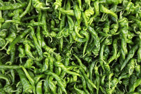 Téléchargez les photos : Piles de marché de gros de légumes de poivre vert, Chine du Nord - en image libre de droit
