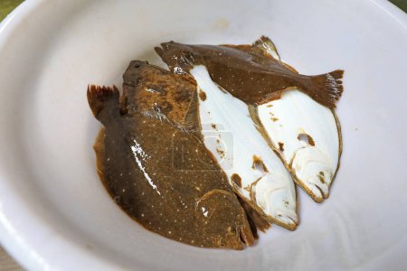 Photo for Fresh flounder, closeup of photo - Royalty Free Image