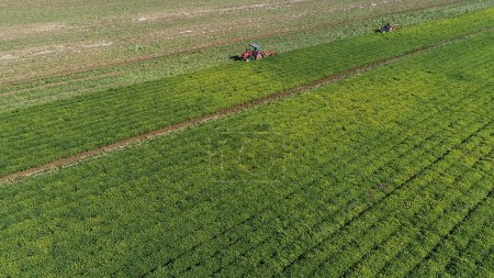 Téléchargez les photos : Les agriculteurs utilisent des machines pour récolter des arachides dans les champs - en image libre de droit