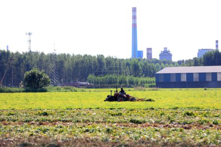 Foto de LUANNAN COUNTY, provincia de Hebei, China - 9 de septiembre de 2020: Los agricultores utilizan maquinaria para cosechar cacahuetes en los campos - Imagen libre de derechos