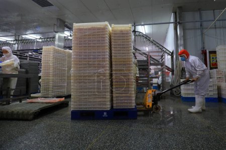 Foto de CONDADO DE LUANNAN, provincia de Hebei, China - 14 de septiembre: Los trabajadores están ocupados en la fábrica en la línea de producción de segmentación de pollo - Imagen libre de derechos