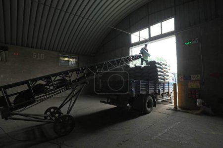Foto de LUANNAN COUNTY, provincia de Hebei, China - 14 de septiembre de 2020: Los trabajadores llevaron la alimentación en la cinta transportadora en la fábrica - Imagen libre de derechos