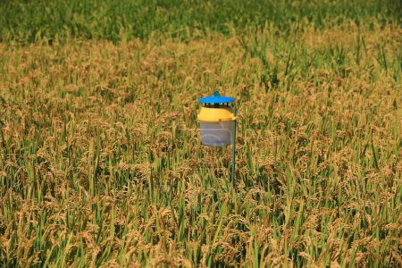 Photo for Insect trapping lamp in farmland, North China Plain - Royalty Free Image