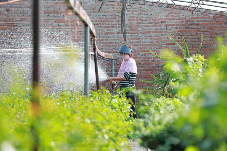 Téléchargez les photos : COMTÉ DE LUANNAN, Province du Hebei, Chine - 21 septembre 2020 : Le jardinier irrigue, les fleurs en pot sont dans la pépinière - en image libre de droit