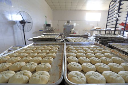 Téléchargez les photos : Gâteaux de lune bien placés dans une usine de transformation des aliments, Chine du Nord - en image libre de droit
