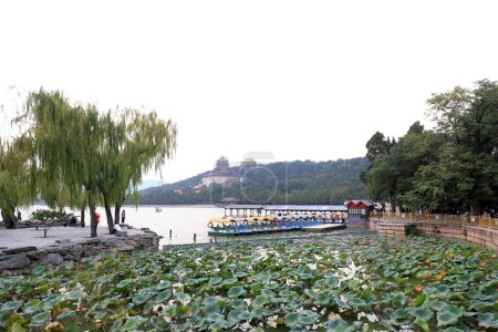 Photo for Lotus pond scenery of Beijing Summer Palace, China - Royalty Free Image