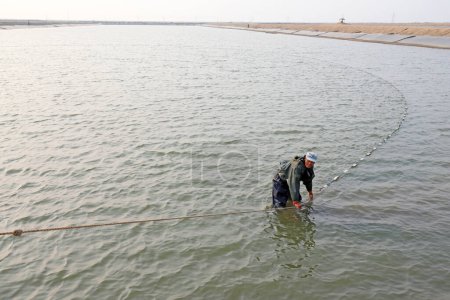 Téléchargez les photos : COMTÉ DE LUANNAN, province du Hebei, Chine - 15 octobre 2020 : Les travailleurs filettent les poissons dans les étangs du nord de la Chine - en image libre de droit