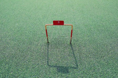 Foto de Bola de gol chino en césped artificial - Imagen libre de derechos