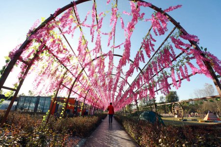 Téléchargez les photos : Couloir fleuri voûté dans le parc, Chine du Nord - en image libre de droit