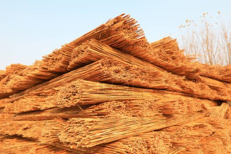 Photo for Piles of reed curtains in processing plants - Royalty Free Image