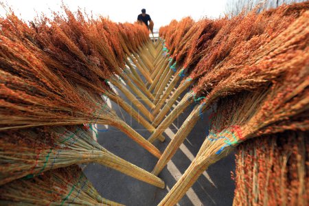 The worker is drying the broom in a manual workshop, LUANNAN COUNTY, Hebei Province, China