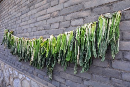 Chinese cabbage on the wall, North China