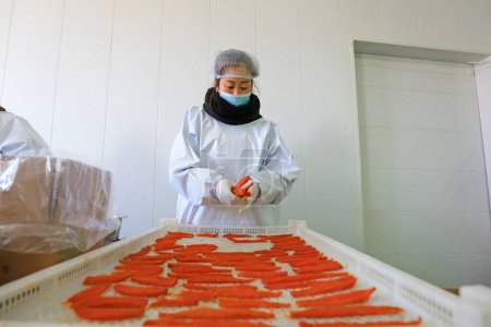 Foto de CONDADO DE LUANNAN, China - 20 de diciembre de 2020: los trabajadores clasifican y envasan batatas secas en una empresa de procesamiento de alimentos en el condado de LUANNAN, provincia de Hebei, China - Imagen libre de derechos