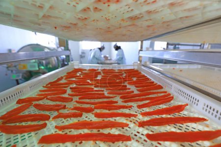 Téléchargez les photos : COMTÉ DE LUANNAN, Chine - 20 décembre 2020 : les travailleurs trient et emballent les patates douces séchées dans une entreprise de transformation alimentaire dans le COMTÉ DE LUANNAN, province du Hebei, Chine - en image libre de droit