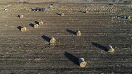 Farmers use agricultural machinery to compress rice straw and bundle them on a farm in North China