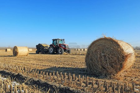 Foto de LUANNAN COUNTY, China - 24 de diciembre de 2020: los agricultores utilizan maquinaria agrícola para comprimir paja de arroz y empaquetarla en una granja, LUANNAN COUNTY, Hebei Province, China - Imagen libre de derechos